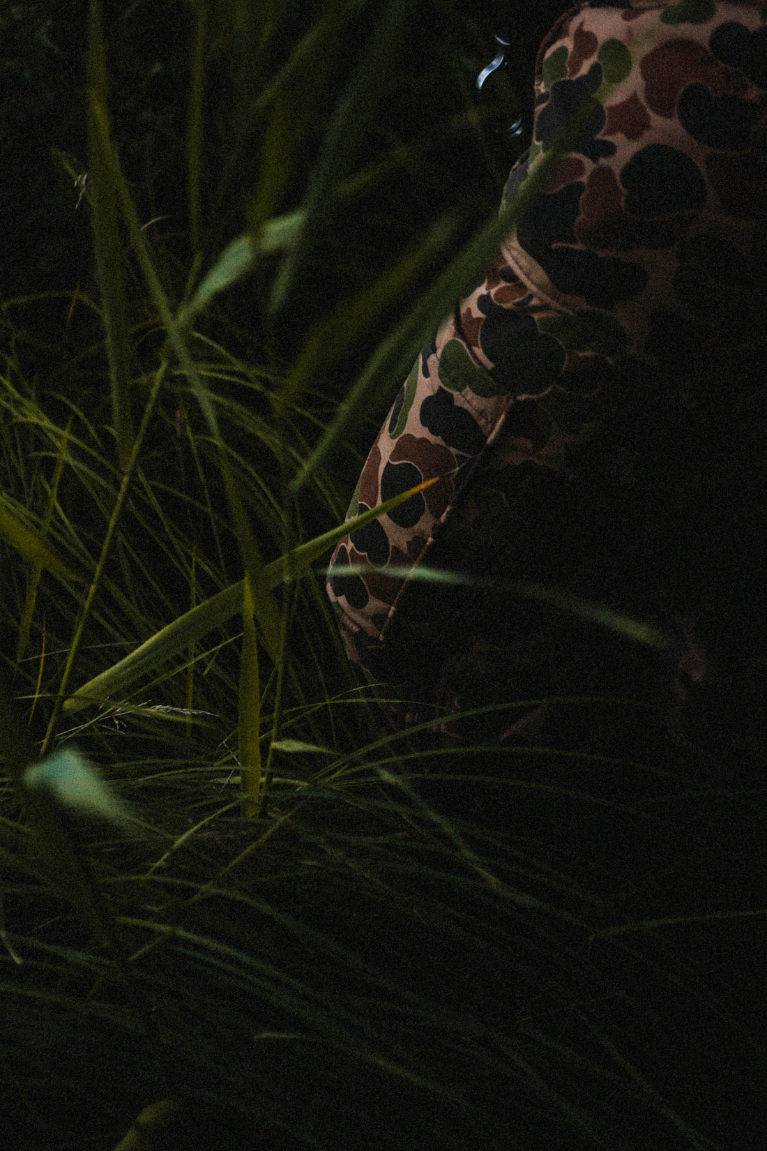 History of Duck Camo