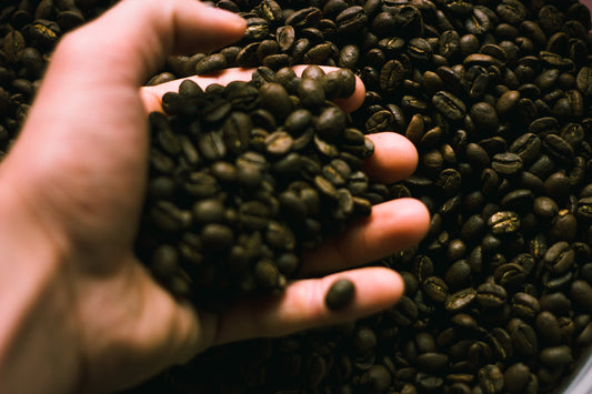 Grinding Whole Coffee Beans